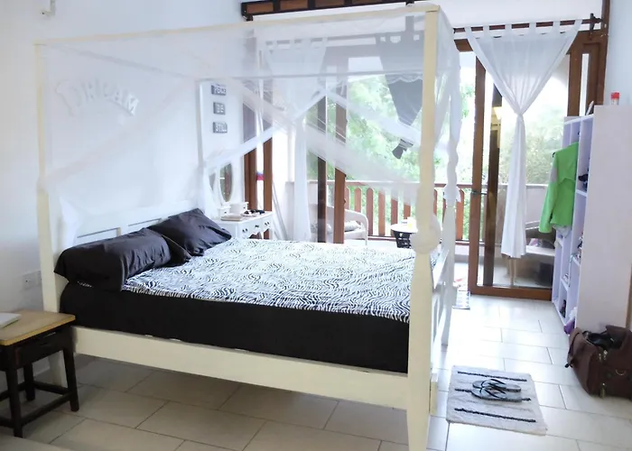 Restful Beach Front Studio-Diani